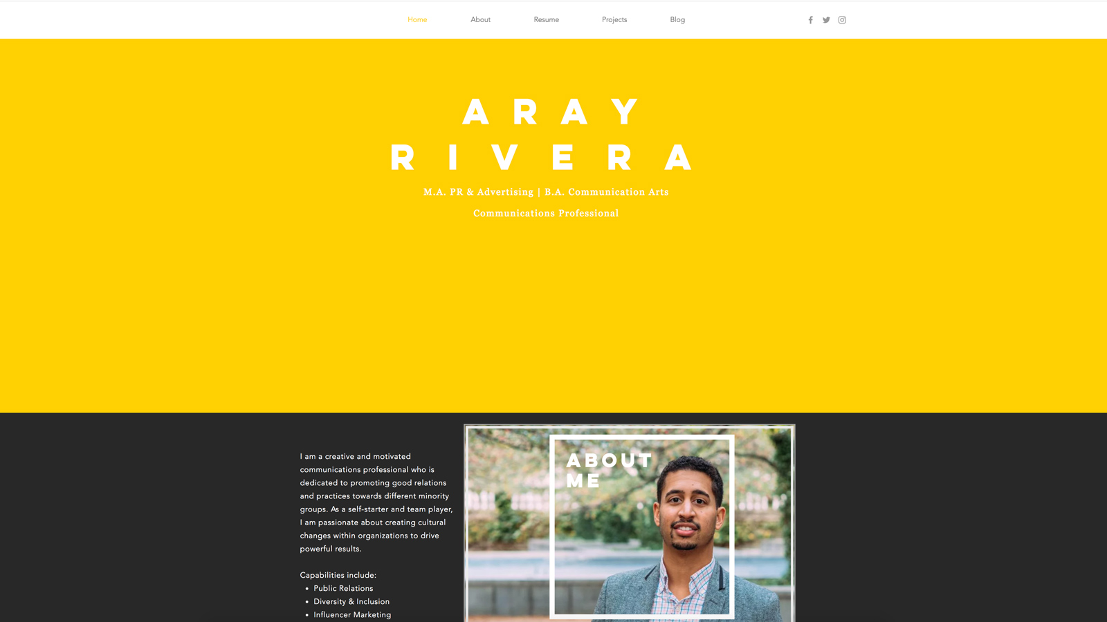 Aray Rivera portfolio